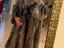 Immagine 5