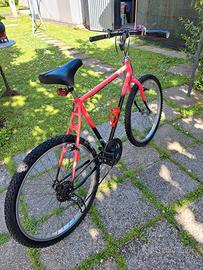 Bici da corsa "Colnago" anni '80