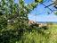 Immagine 25