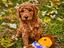 Immagine 6