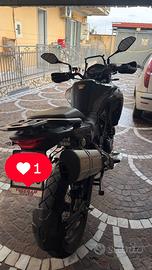 Benelli TRK 502 - 2022