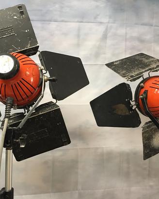 Coppia di Lampade  IANIRO 1000 w  Usati