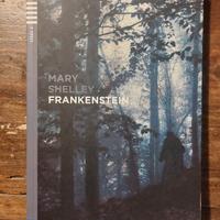 Frankenstein Mary Shelley Inglese B2