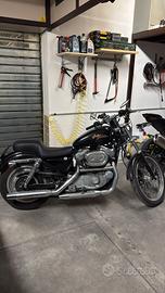  Harley Davidson 883 XL 53C