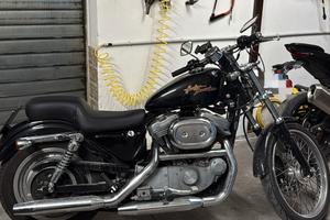  Harley Davidson 883 XL 53C