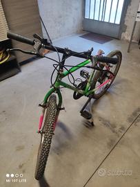 Bicicletta MTB