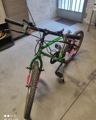 Bicicletta MTB