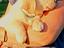 Immagine 7