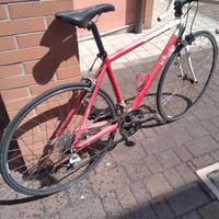 Bicicletta da corsa 
