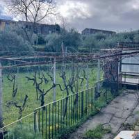 Rustico - Castiglione di Sicilia