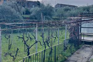Rustico - Castiglione di Sicilia
