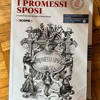 I PROMESSI SPOSI - Bologna e Rocchi