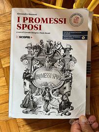 I PROMESSI SPOSI - Bologna e Rocchi