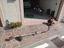 Immagine 2