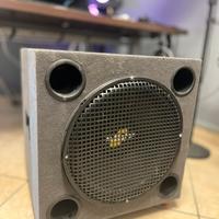Subwoofer Professionale Attivo