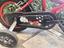 Immagine 4