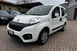 FIAT QUBO