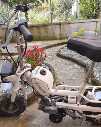 Ciclomotore Benelli City Bike 88'