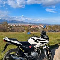 Honda cbf 125 2011 trattabile