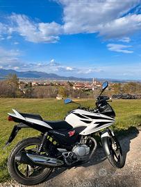 Honda cbf 125 2011 trattabile