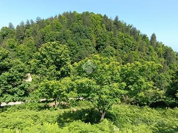 TER. AGRICOLO A SERSALE