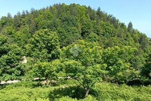 TER. AGRICOLO A SERSALE