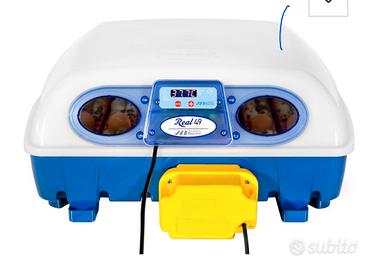 incubatrice borotto real 24