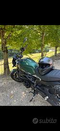 Benelli Leoncino 800