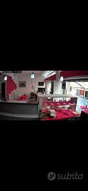 Vendita bar gelateria a bussolengo verona
