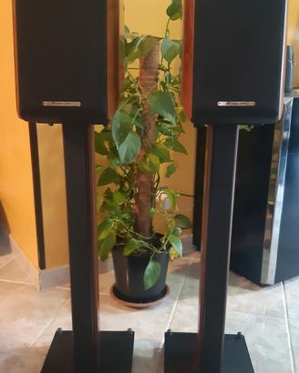 Diffusori Sonus Faber Concertino + stand Fixed.