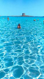 Bilocali vacanze Stintino