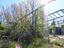 Immagine 26