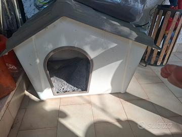 cuccia per cani