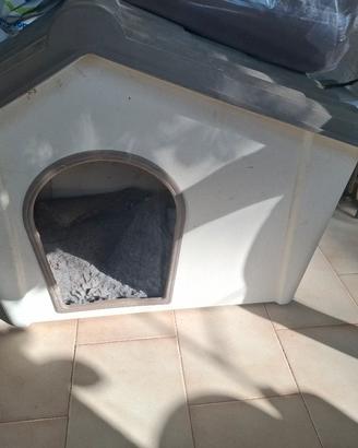 cuccia per cani