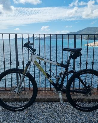 Bicicletta Kona Bear Mountain