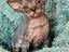 Immagine 4