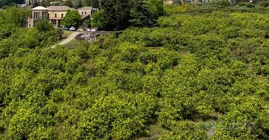 Rif.lu306| colonica giarre