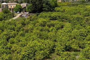 Rif.lu306| colonica giarre