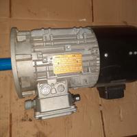 MOTORE TRIFASE A DOPPIA VELOCITA 2880-400 RPM COD.