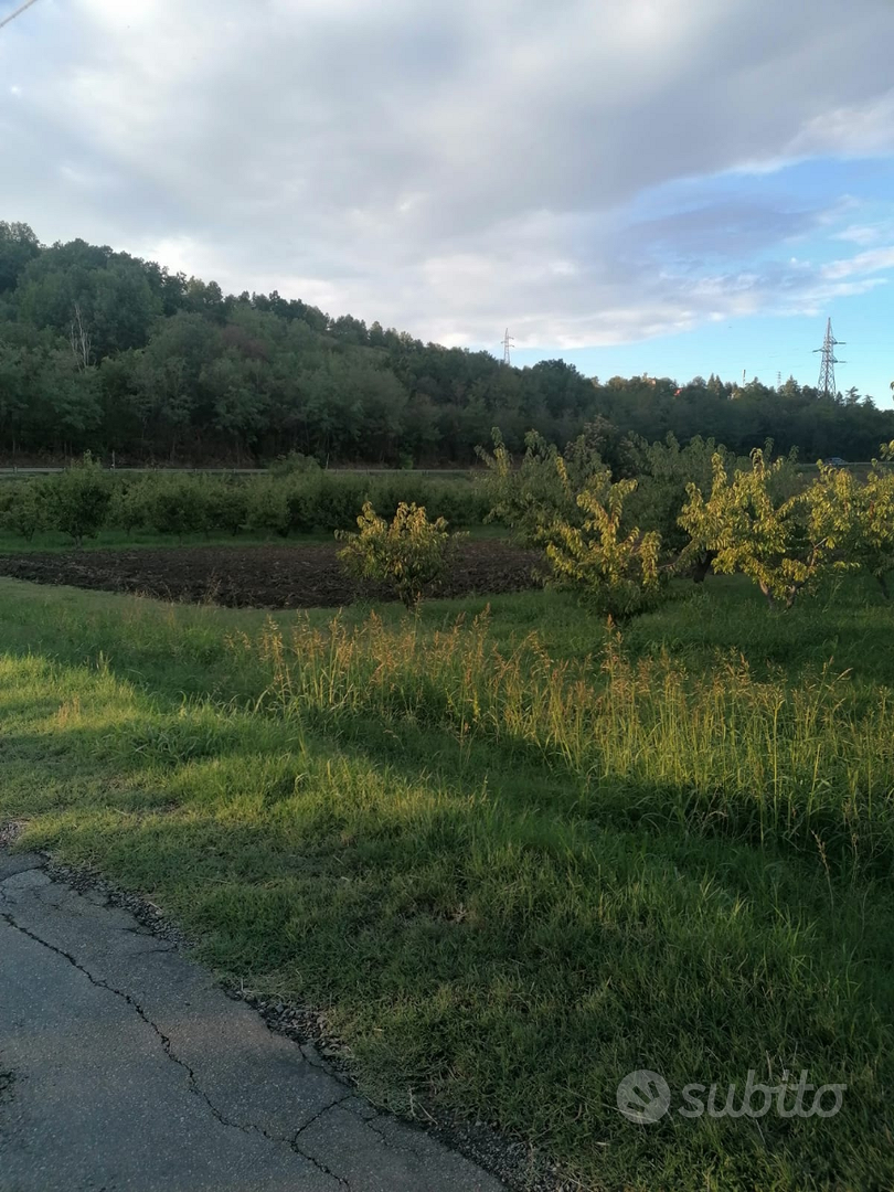 Terreno agricolo - Vista 2