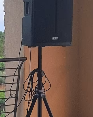 coppia di FBT X-Lite 115A + stativi