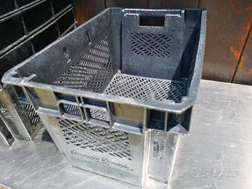 Cassetta per raccogliere olive