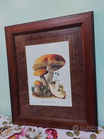 Due quadri vintage