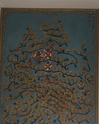 Quadro albero genealogico  fam. Tommasi di Cortona