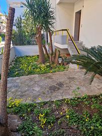 Villetta a schiera zona residenziale