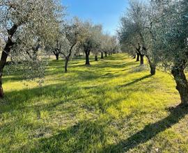 Terreno ad Empoli