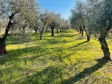 Terreno ad Empoli