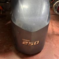 Ricambi Fuoribordo Yamaha F250 del 2016