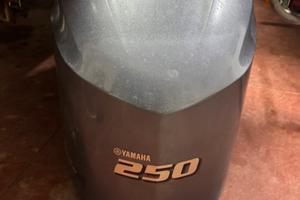 Ricambi Fuoribordo Yamaha F250 del 2016