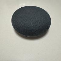 Google home mini nest